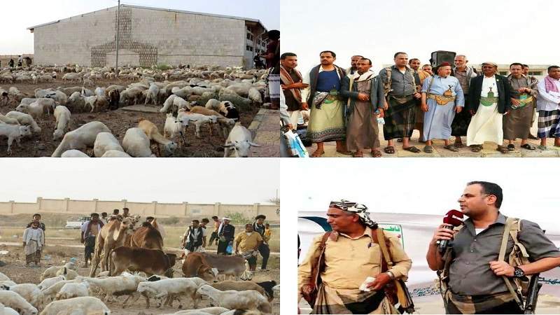 عدد من النواب يحضرون تقديم مديريات مربع عاهم بحجة قافلة الشهيد القائد